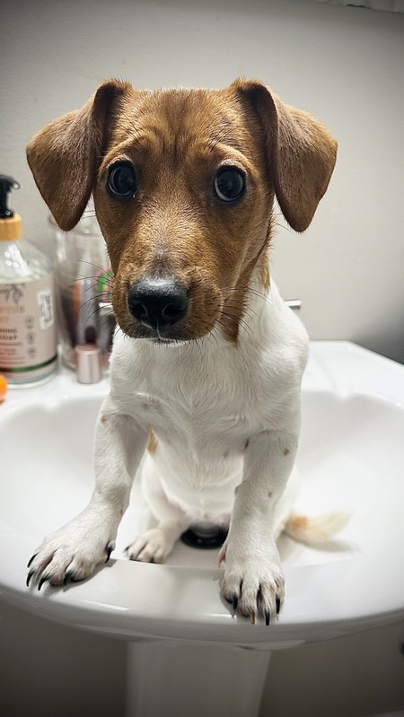 Entry image for Tumi. Clicking this image will show a larger photo