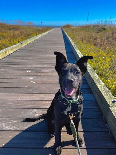 Entry image for Boston. Clicking this image will show a larger photo