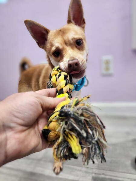 Entry image for Howard. Clicking this image will show a larger photo