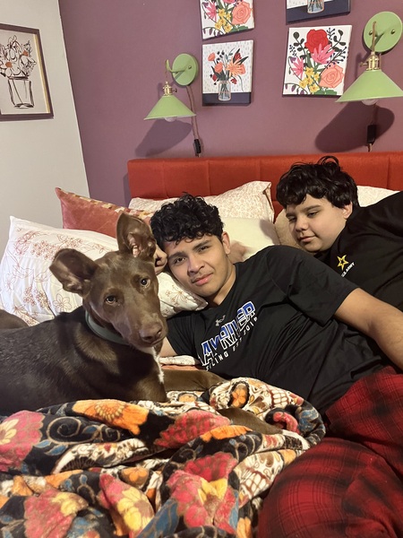 Entry image for Orion Pax. Clicking this image will show a larger photo