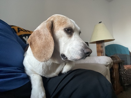 Entry image for Babygirl. Clicking this image will show a larger photo