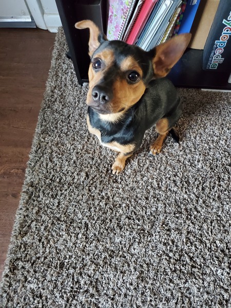 Entry image for Mylo Banks . Clicking this image will show a larger photo