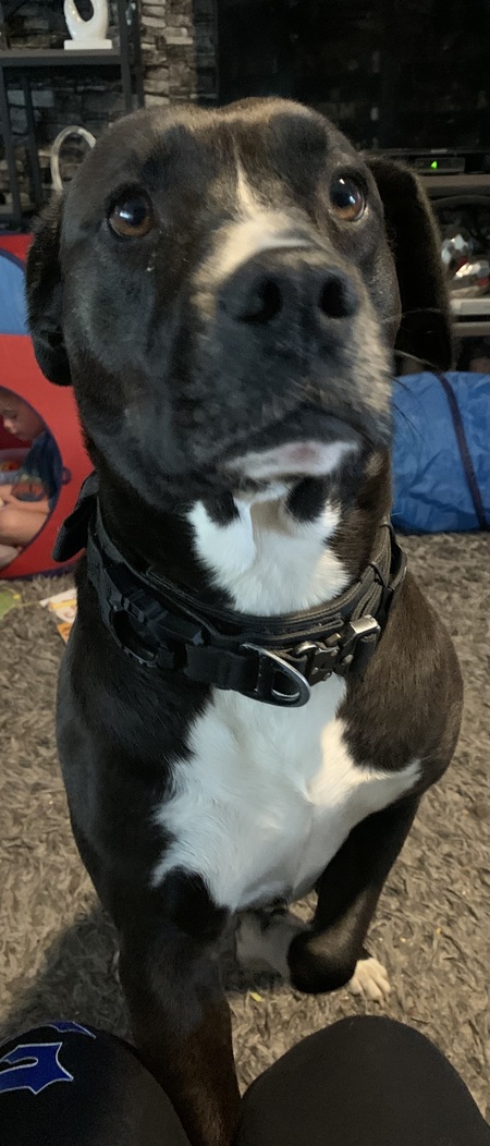 Entry image for Tessa. Clicking this image will show a larger photo