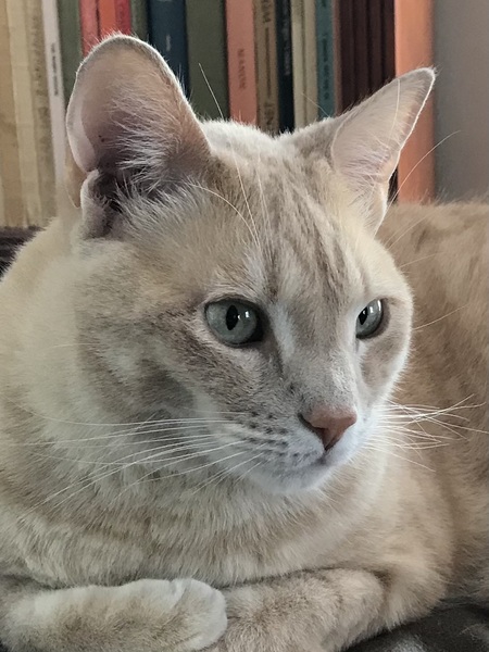 Entry image for Tim. Clicking this image will show a larger photo