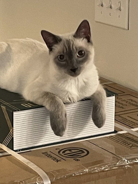 Entry image for Henry. Clicking this image will show a larger photo