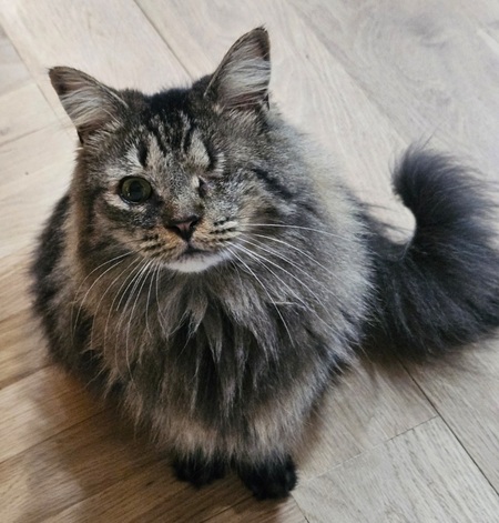 Entry image for Faith. Clicking this image will show a larger photo