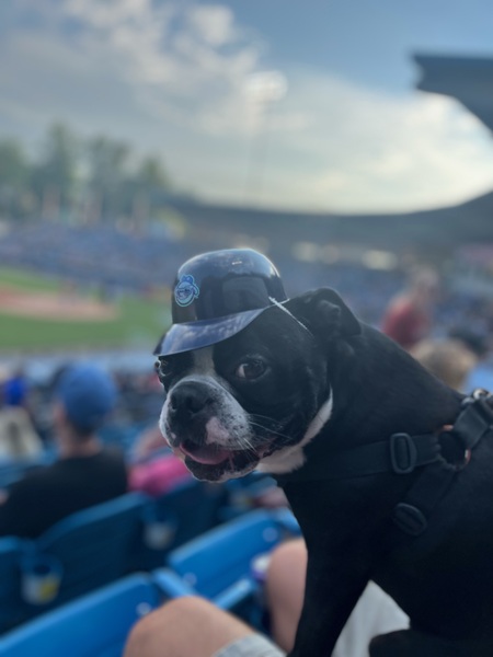 Entry image for Hank. Clicking this image will show a larger photo