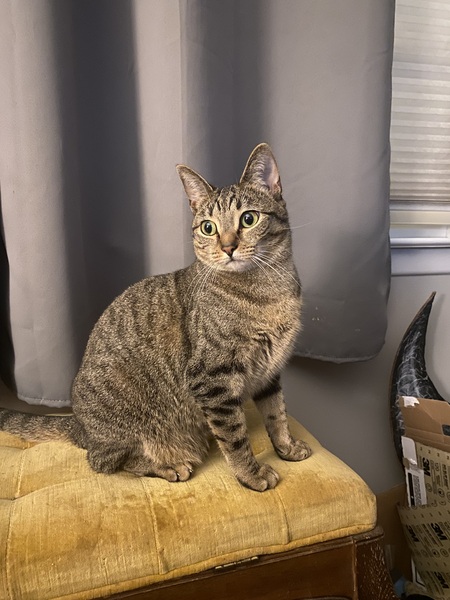 Entry image for Bebe. Clicking this image will show a larger photo