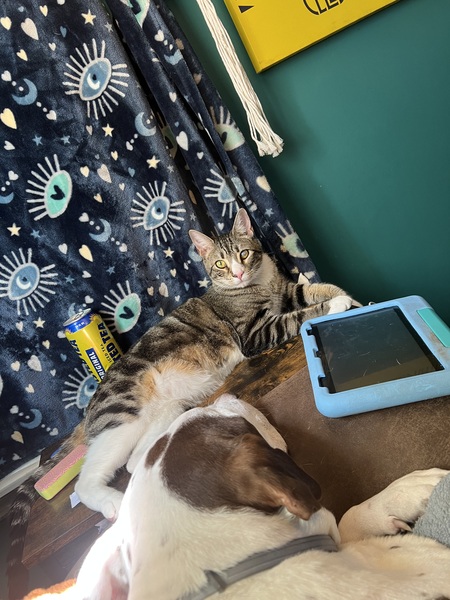 Entry image for Wumbo. Clicking this image will show a larger photo