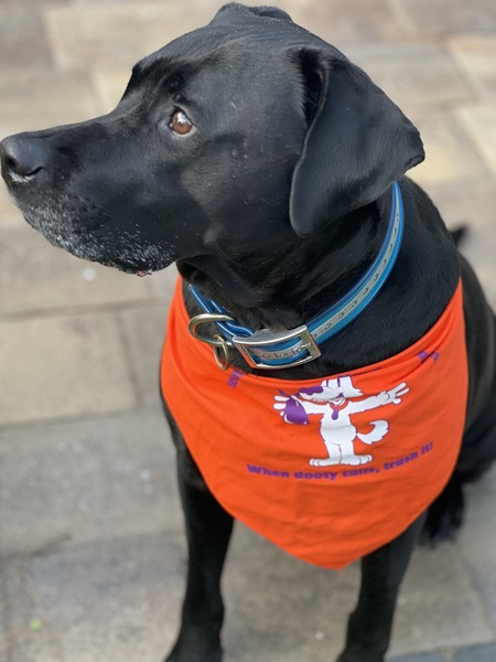 Entry image for Kano. Clicking this image will show a larger photo