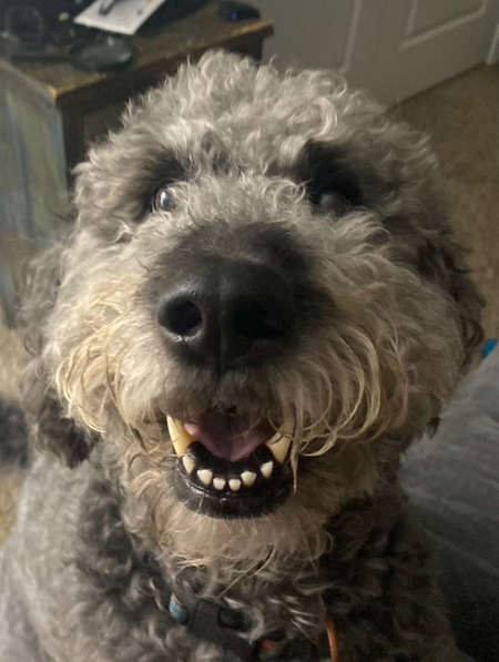 Entry image for Chloe Turko. Clicking this image will show a larger photo