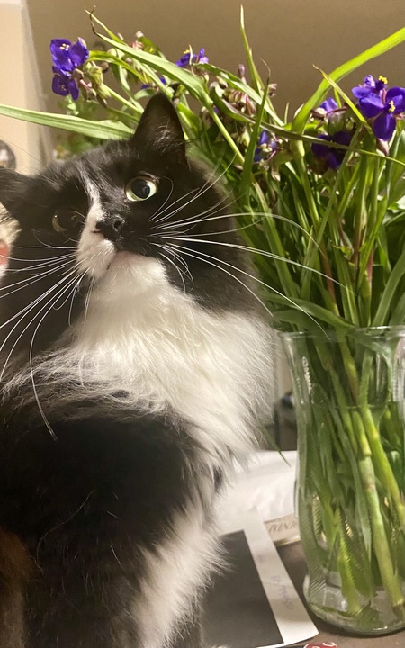 Entry image for Mama. Clicking this image will show a larger photo