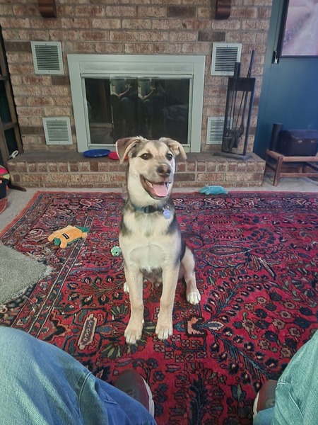 Entry image for Thunder. Clicking this image will show a larger photo