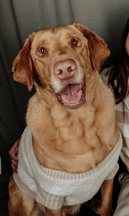 Entry image for Jax. Clicking this image will show a larger photo