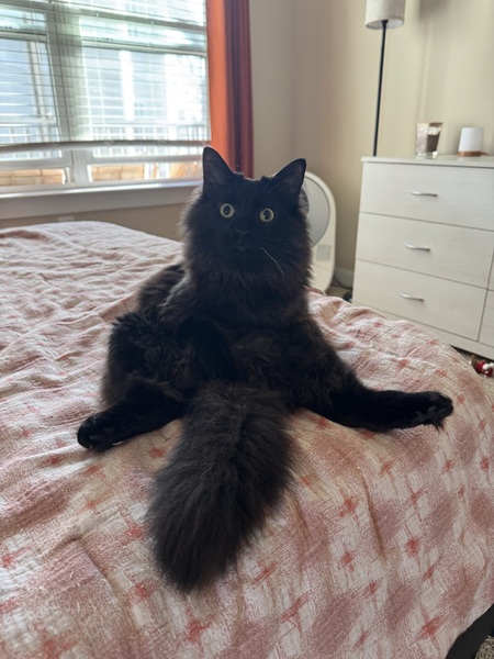 Entry image for Rigatoni. Clicking this image will show a larger photo