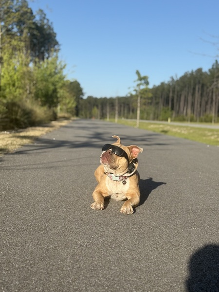 Entry image for May May (Darla at CAS). Clicking this image will show a larger photo