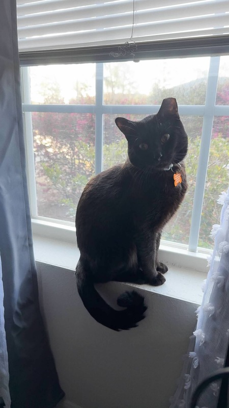 Entry image for Fredd. Clicking this image will show a larger photo