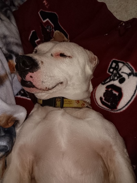 Entry image for Winter. Clicking this image will show a larger photo