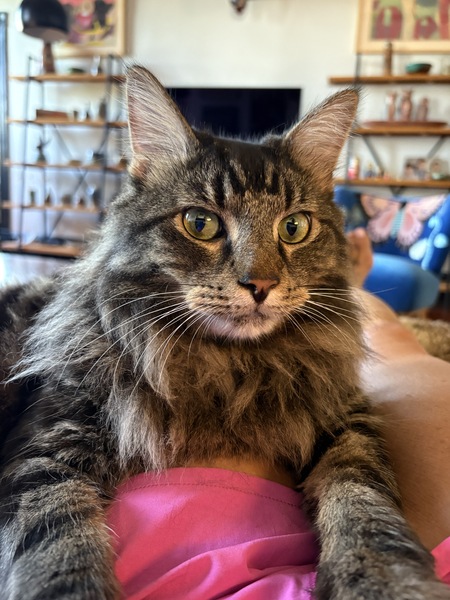 Entry image for Uncle Baby Billy . Clicking this image will show a larger photo