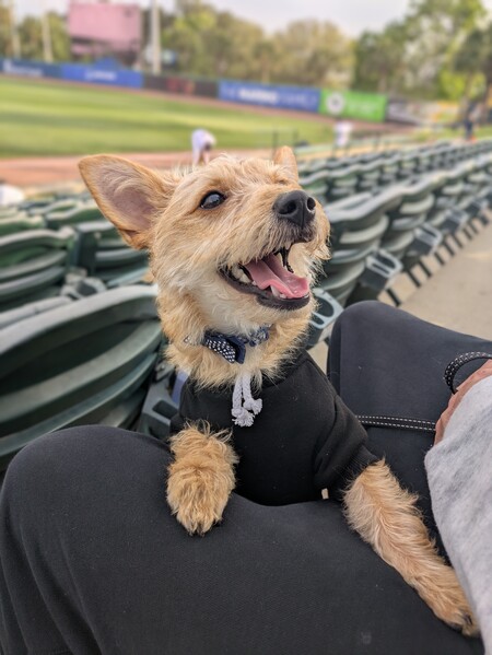 Entry image for Tatum. Clicking this image will show a larger photo