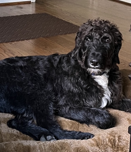 Entry image for Mr. Bingley (Charles). Clicking this image will show a larger photo