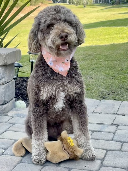 Entry image for Woodford. Clicking this image will show a larger photo