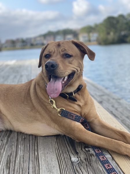 Entry image for Reese. Clicking this image will show a larger photo