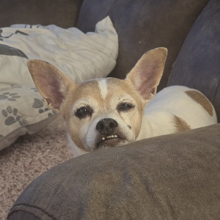 Entry image for Hallie. Clicking this image will show a larger photo