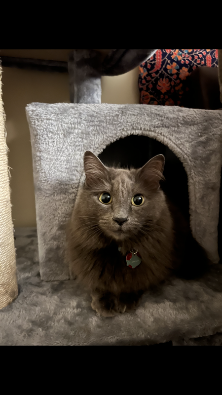 Entry image for Sweet Leaf . Clicking this image will show a larger photo