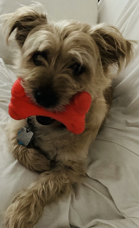 Entry image for Michael Lee. Clicking this image will show a larger photo