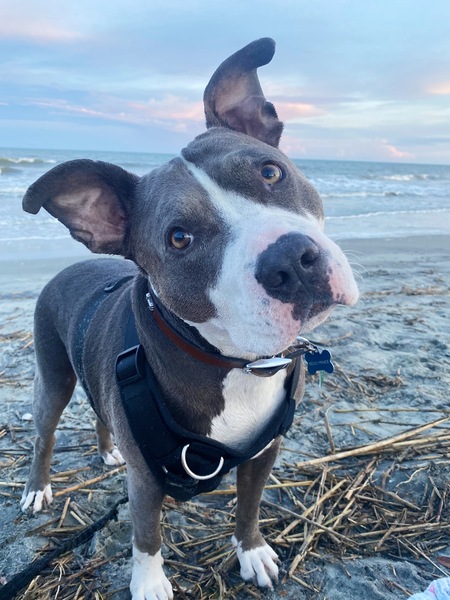 Entry image for Kelso. Clicking this image will show a larger photo