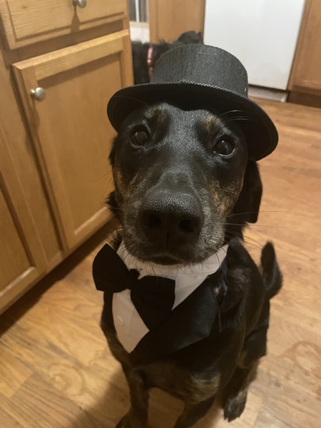 Entry image for River. Clicking this image will show a larger photo