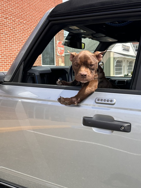 Entry image for Ernie. Clicking this image will show a larger photo