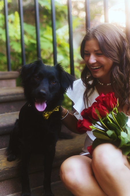 Entry image for Milo . Clicking this image will show a larger photo