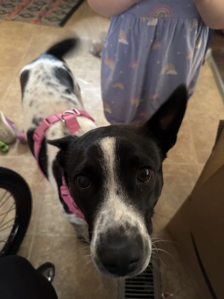 Entry image for Shimmer. Clicking this image will show a larger photo