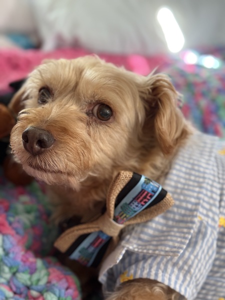 Entry image for Tucker. Clicking this image will show a larger photo