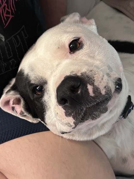 Entry image for Concrete. Clicking this image will show a larger photo