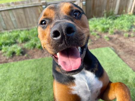 Entry image for Cooper Lee. Clicking this image will show a larger photo