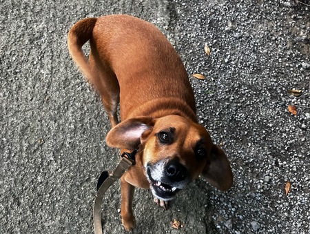 Entry image for Vern. Clicking this image will show a larger photo