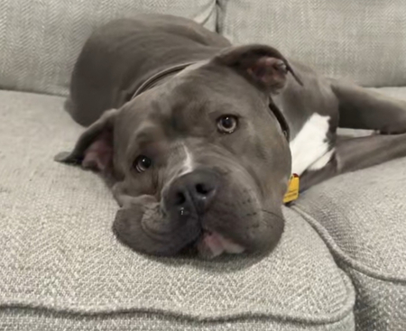 Entry image for Sunday. Clicking this image will show a larger photo