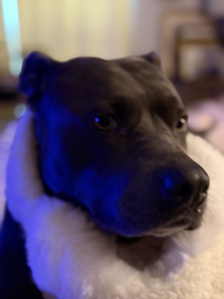 Entry image for Gretchen Von Olson. Clicking this image will show a larger photo