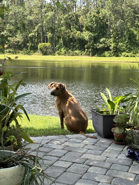 Entry image for Neo. Clicking this image will show a larger photo