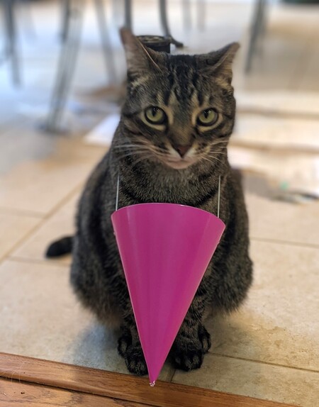 Entry image for SJ. Clicking this image will show a larger photo