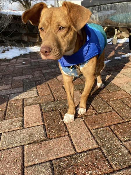 Entry image for Wrigley . Clicking this image will show a larger photo