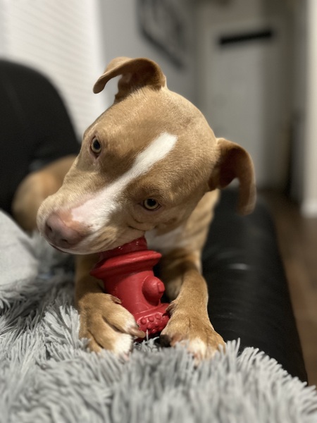 Entry image for Tori. Clicking this image will show a larger photo