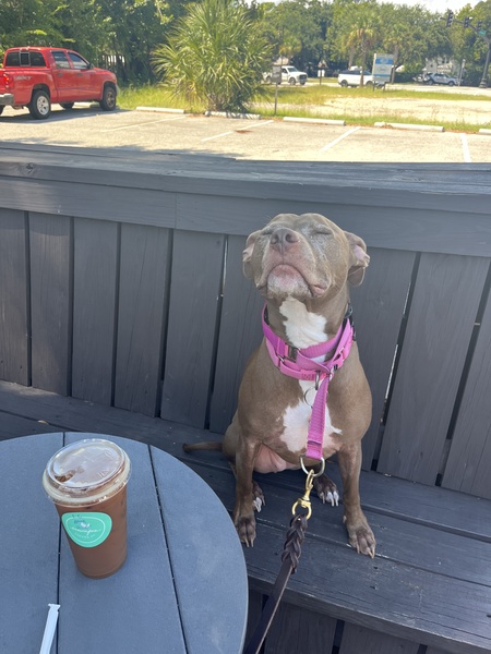 Entry image for Issy. Clicking this image will show a larger photo