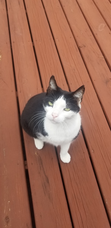 Entry image for Nick. Clicking this image will show a larger photo