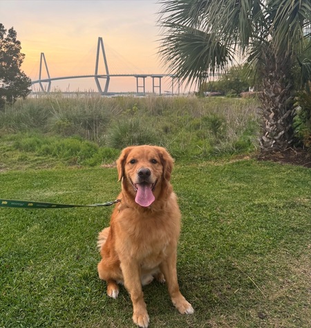 Entry image for Callaway. Clicking this image will show a larger photo