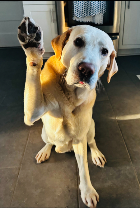 Entry image for Tucker Max’s. Clicking this image will show a larger photo