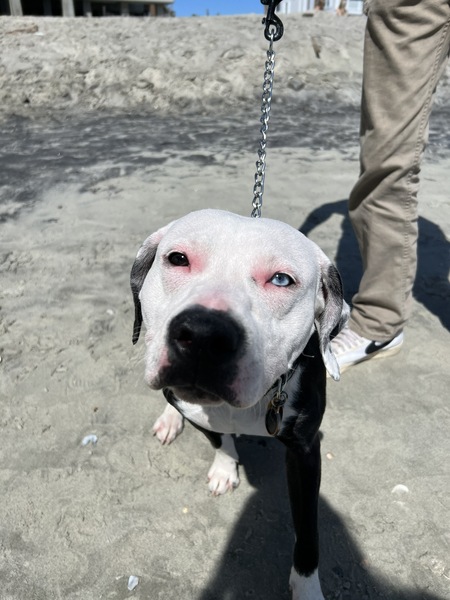 Entry image for Quest. Clicking this image will show a larger photo